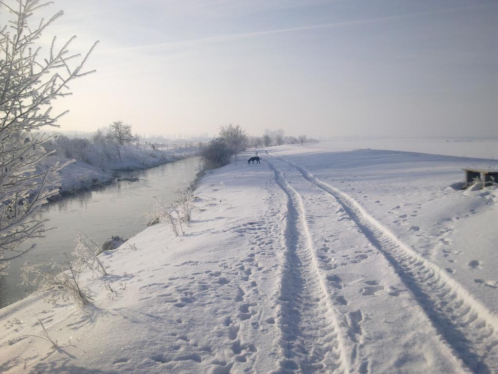 Fewo-thueringer-becken